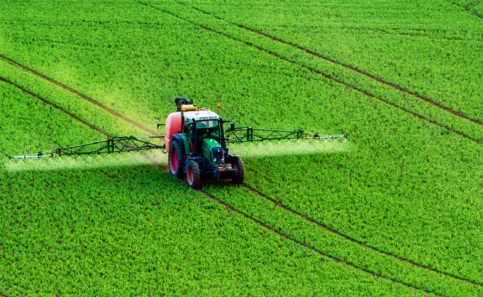 Precision Agriculture and Sustainability: ALMEC S.p.A.’s IoT and AI Solutions